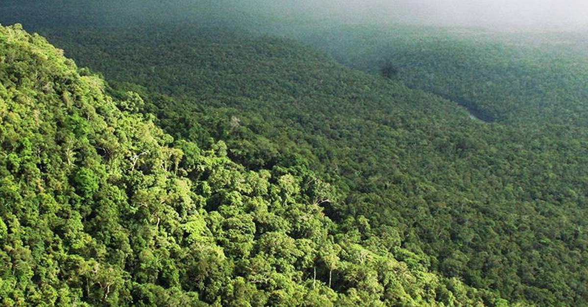 10 Jahre nach dem Absturz – zum traurigen Gedenken - Leben in Kambodscha