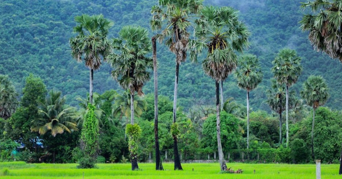 Kep, Kambodscha