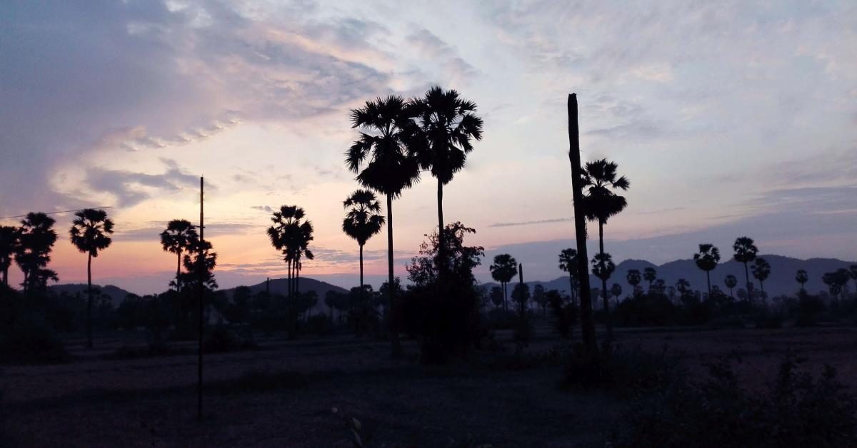 Sonnenaufgang auf dem Land